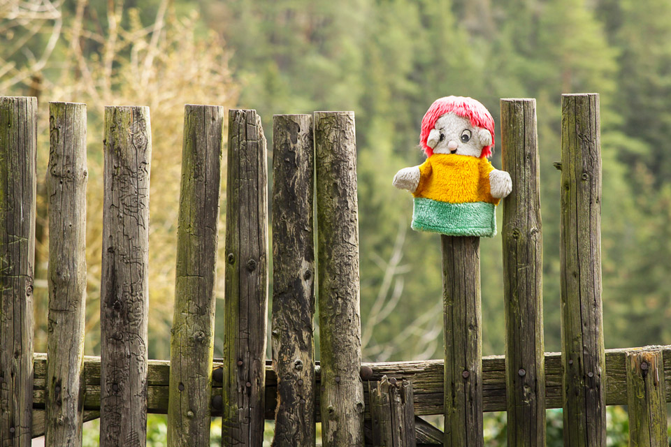 Rabštejn-nad-Střelou-fence-hand-puppet